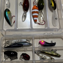 ルアーの画像