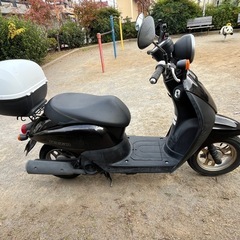 【実動】　ホンダ トゥデイ AF67 50cc 原付スクーター｜セルNGキックOKの画像