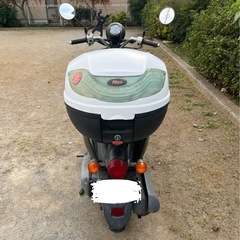 【実動】　ホンダ トゥデイ AF67 50cc 原付スクーター｜セルNGキックOKの画像