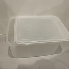 大型フタ付き保存容器 約40〜45L 業務用タッパー2つの画像
