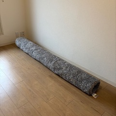 【決まりました】ニトリラグの画像