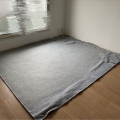 【決まりました】ニトリラグの画像