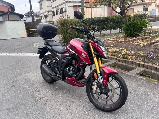 Hornet2.0 2023年式　
自賠責2年付き！走行 1,500km 綺麗一台！