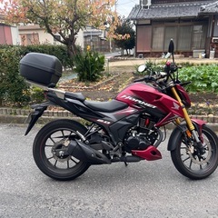 Hornet2.0 2023年式　
自賠責2年付き！走行 1,500km 綺麗一台！の画像