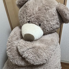 コストコくまの画像