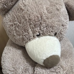 コストコくまの画像