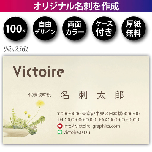 名刺印刷 100枚 両面 フルカラー 紙ケース付 No.2561 (ヴィクトワール