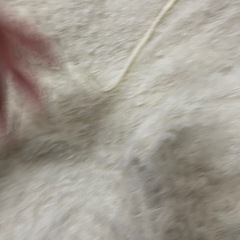 ヒナリ　hinari リボンチュール　setの画像