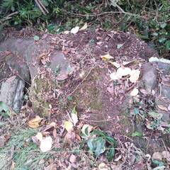 庭石あげます。0円の画像