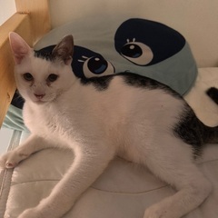 元気旺盛な男の子　6ヶ月