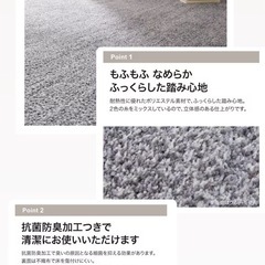 【決まりました】ニトリラグの画像