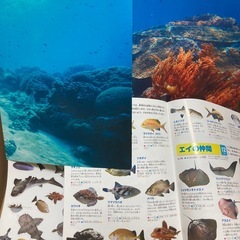 マグネット玩具3点セットの画像