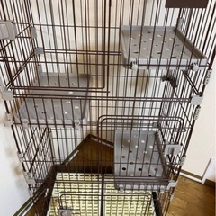 猫 3段ゲージ・説明文必読の画像