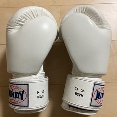 WINDY ボクシンググローブ 14ozの画像