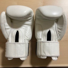 WINDY ボクシンググローブ 14ozの画像