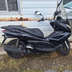 PCX 28の画像