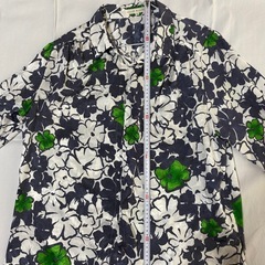 白　青　緑　長袖　柄シャツの画像