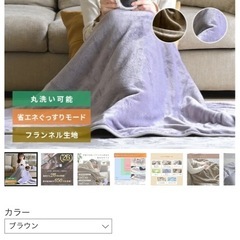 山善フランネル電気掛敷毛布　　の画像