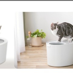 【新品未使用✨】2セット/上から猫トイレ［プチ］2個セットアイボリーの画像