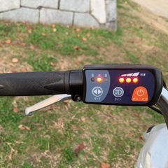 大人用電動三輪車の画像