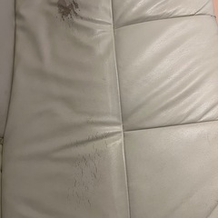 ソファーベッドの画像