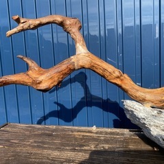 水槽用レイアウト品  60cm以上の水槽用の画像