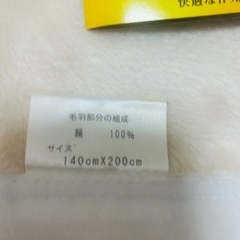 エクセルヒューマン　絹　毛布　シルクの画像