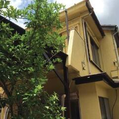 999万 11.7% 埼玉高速鳩ヶ谷駅 再建不 近隣路線価…