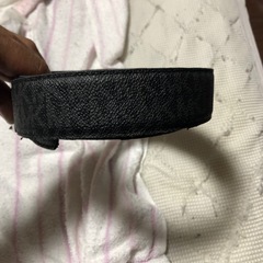 マイケルコースベルトの画像