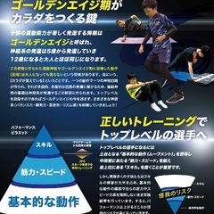 【体幹で差をつけたい君へ】の画像