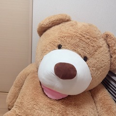 くまさんぬいぐるみの画像