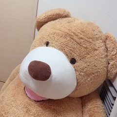 くまさんぬいぐるみの画像