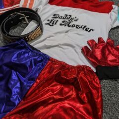 コスプレ　140cm  L、サイズ2枚セットの画像