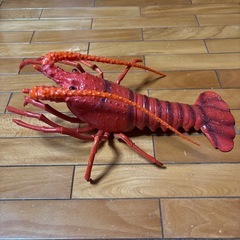 レッドロブスター＆ザリガニの画像