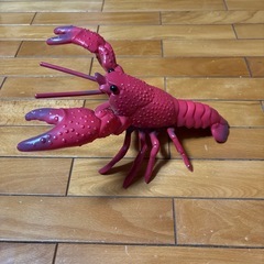 レッドロブスター＆ザリガニの画像