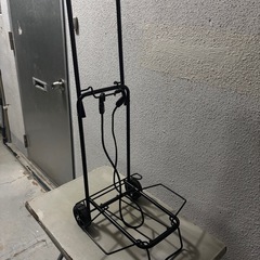 キャプテンスタッグキャリーの画像