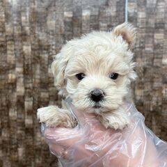 【総額10万円】個性をチャームポイントとして見て下さる方♪