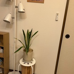 ニトリのフロアライト、スタンドライト の画像