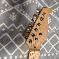 終了　
プレイテック　テレキャスタイプの画像