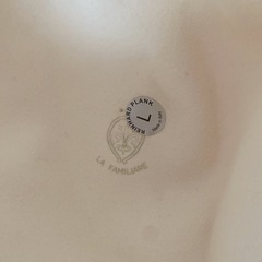 定価5万ほど ラビットファー　未使用 REINHARD PLANK レナードプランク ハットの画像