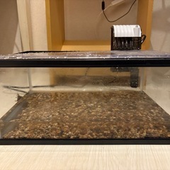 水槽セットの画像