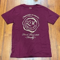安室奈美恵　Finally. Tシャツ XL ワッペンセットの画像