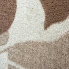 中古カーペット185×185の画像