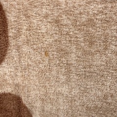 中古カーペット185×185の画像