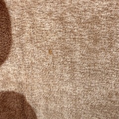 中古カーペット185×185の画像