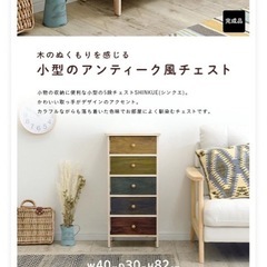 チェスト 収納ケース 5段 幅40×奥行30×高さ82cm の画像