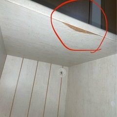 早め処分希望！キッチン　収納　調理家電置きの画像