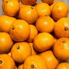 【大好評】　みかん　5㎏　の画像