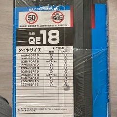 BIATHLON Quick EASY QE18 の画像