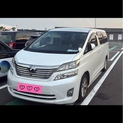 アルファッドの画像